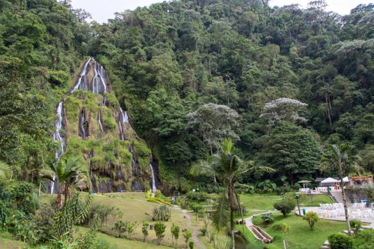 Ruta Cafetera Autentica 4 Dias (Salento y Cocora) 2