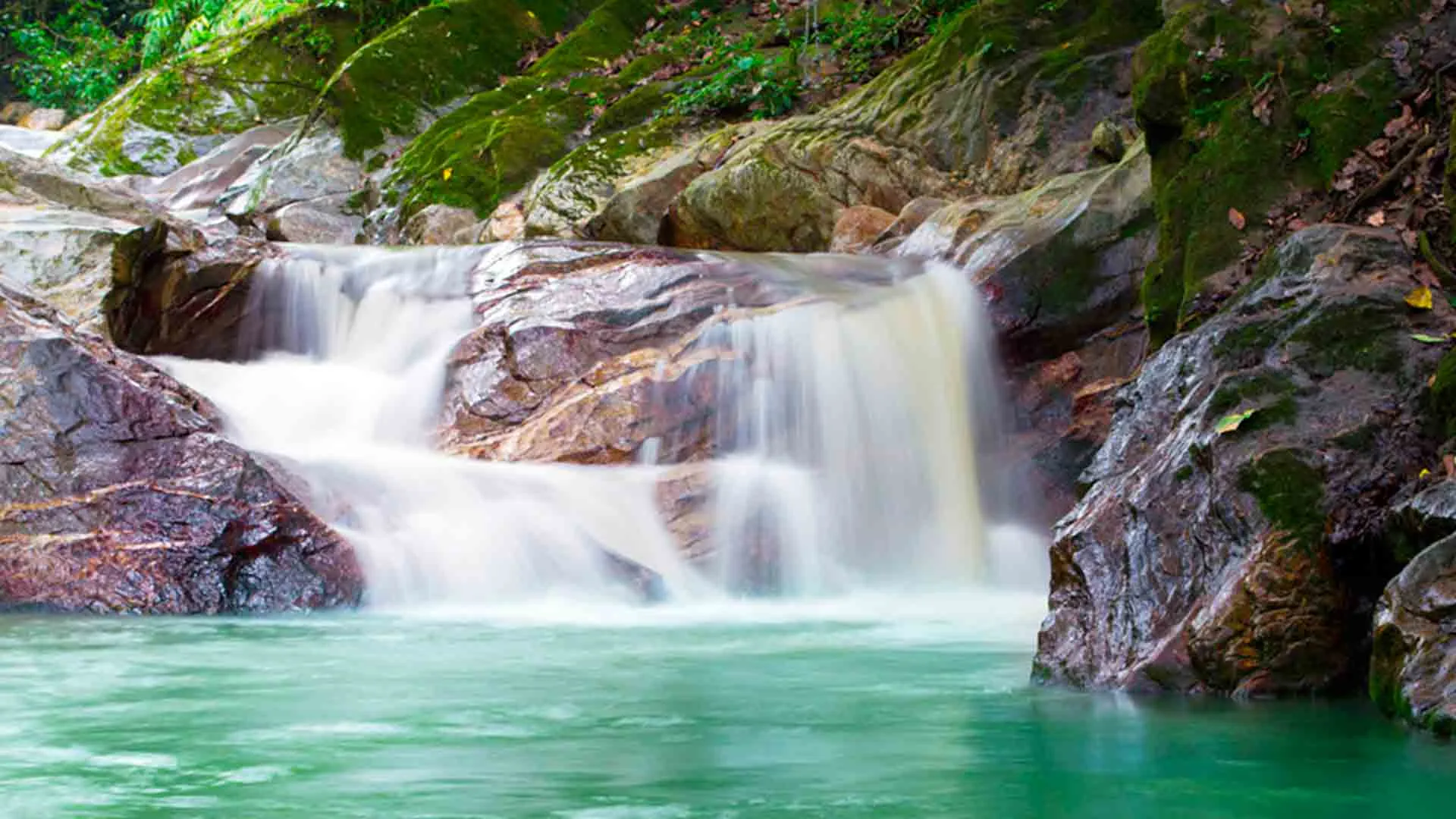 Santa Marta y Tayrona 5 Dias: Mar y Naturaleza