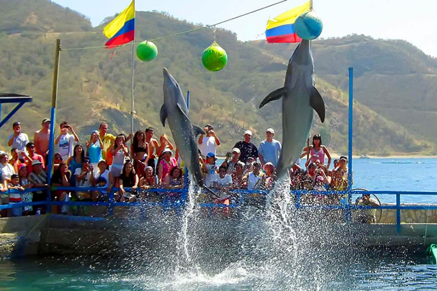 Santa Marta y Tayrona 5 Dias: Mar y Naturaleza 2