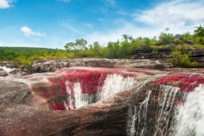 Caño Cristales Colombia Guía de Viajes Planes y Actividades