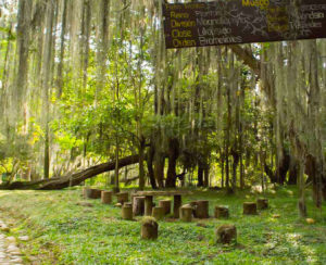 Parque el Gallineral