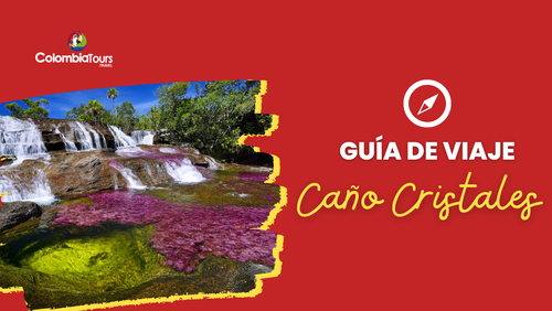 Discover Caño Cristales: The Most Beautiful River in Colombia