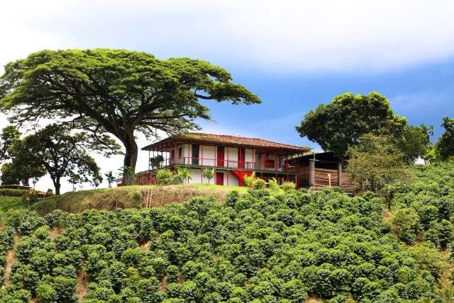 Zona Cafetera en Colombia
