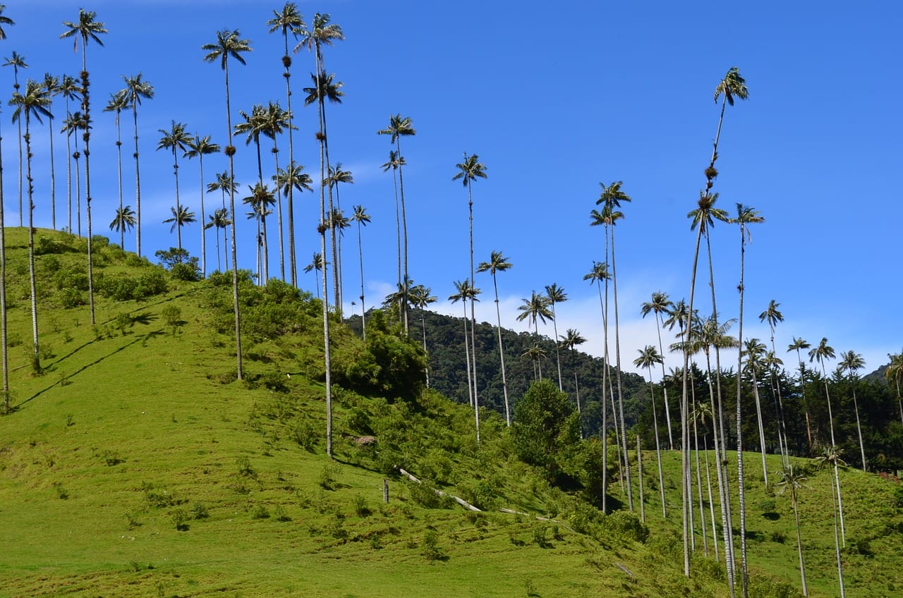 Quindio, Naturaleza, Paisajes, Colombia