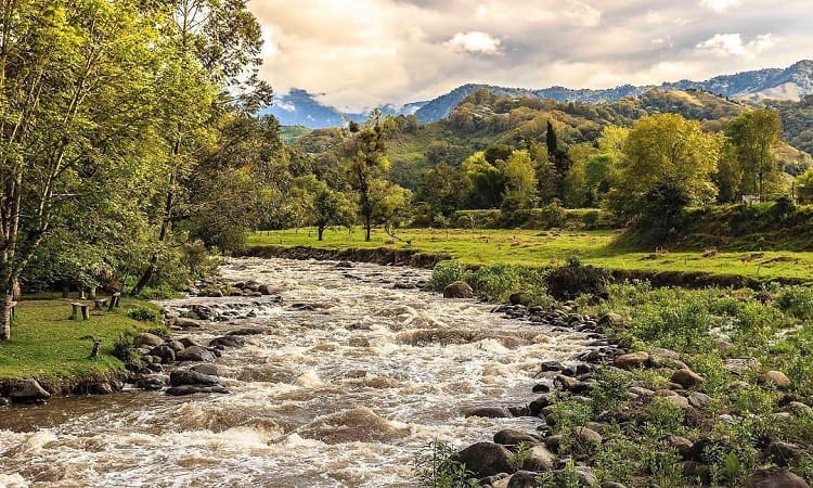 río Quindío - La Nota Positiva