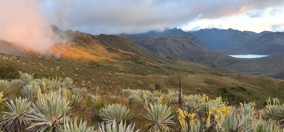 Parque Nacional Natural Chingaza - Parques Nacionales Naturales de Colombia