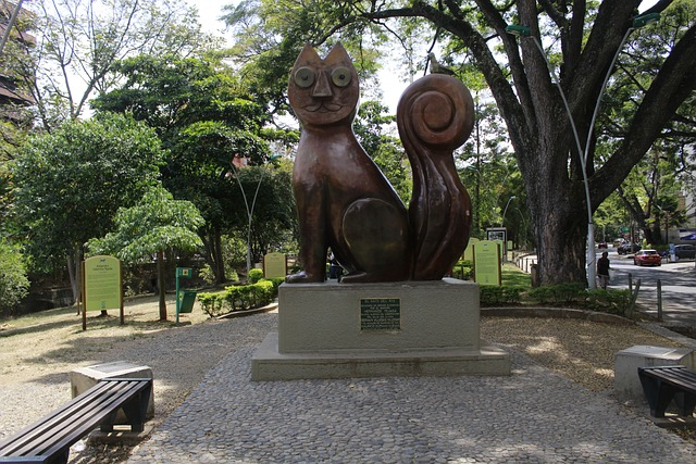 Fotofrafia, Gato de Tejada
