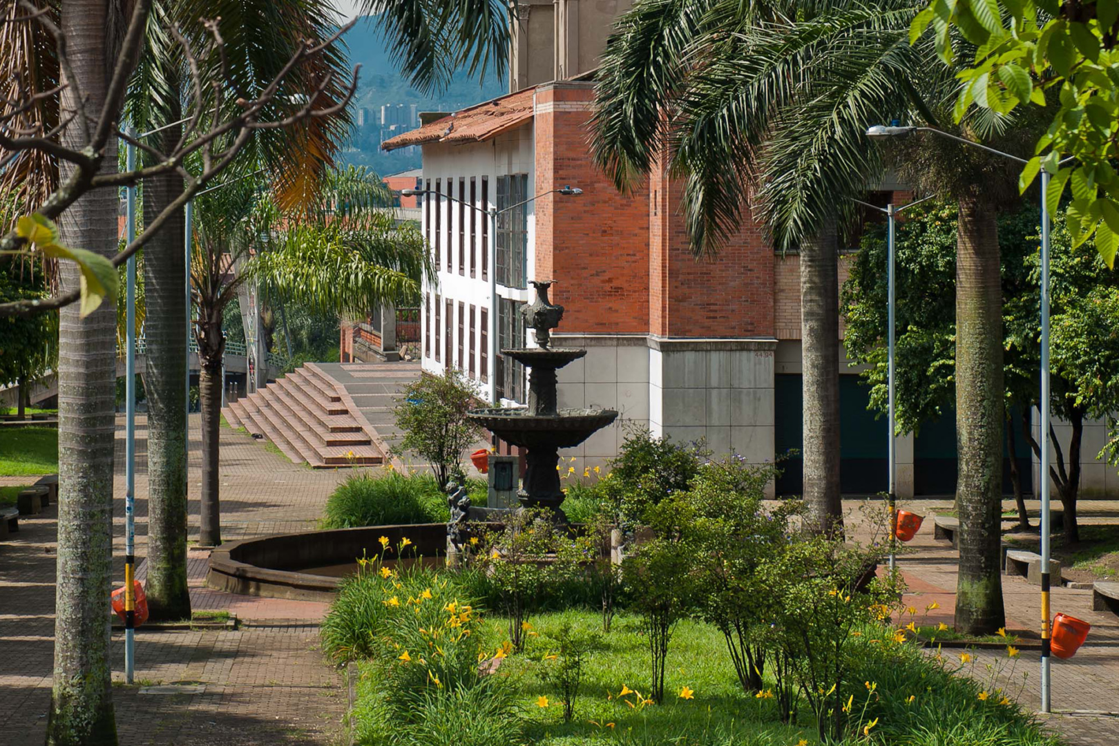 Ver en Medellín
