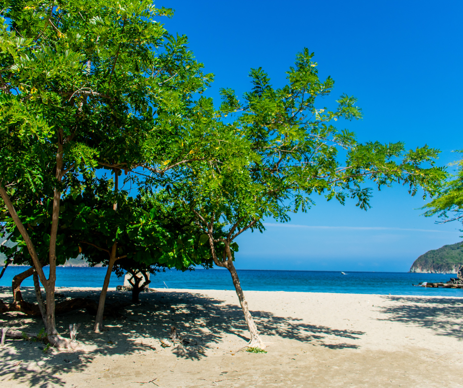 parque tayrona, playa, mar