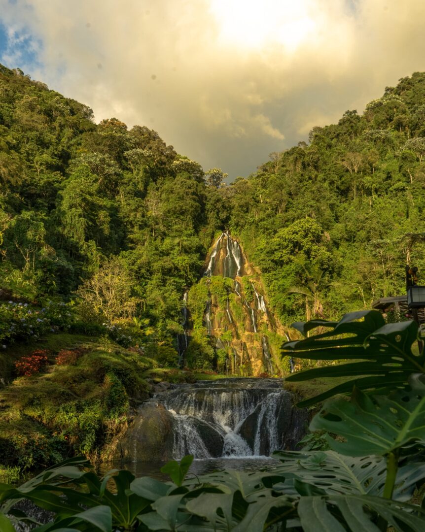 viajes a colombia