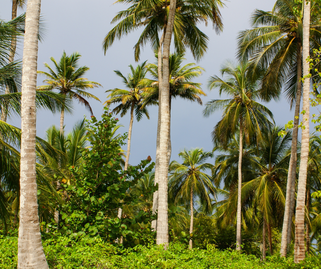 islas del rosario, Cartagena