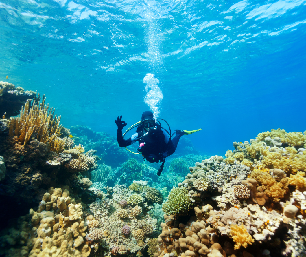 islas del rosario, Cartagena
