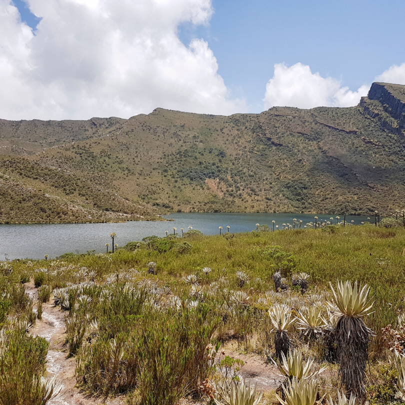 parques nacionales naturales, área protegida, páramo