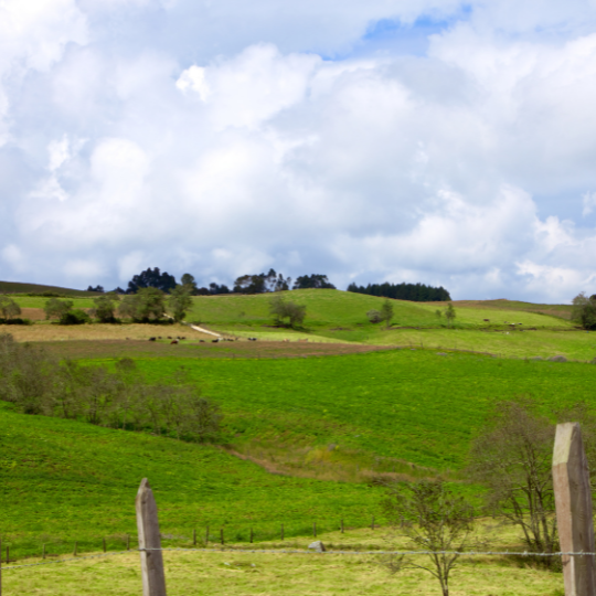 Sendero, reserva