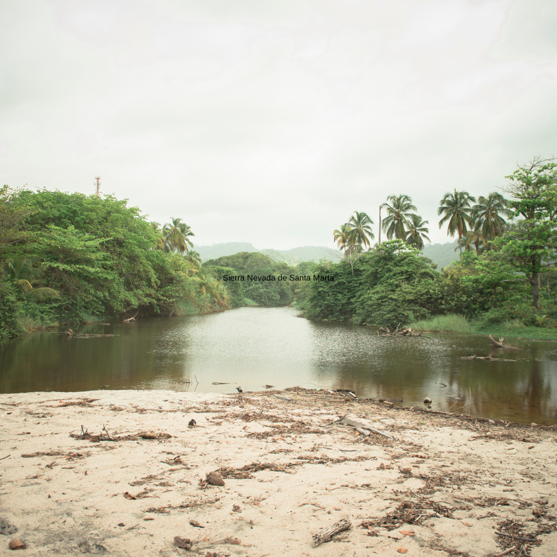 parques naturales de colombia, nacional de áreas protegidas