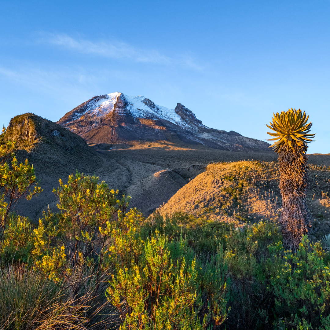 parques nacionales naturales, nevado del tolima, nacional natural los nevados
