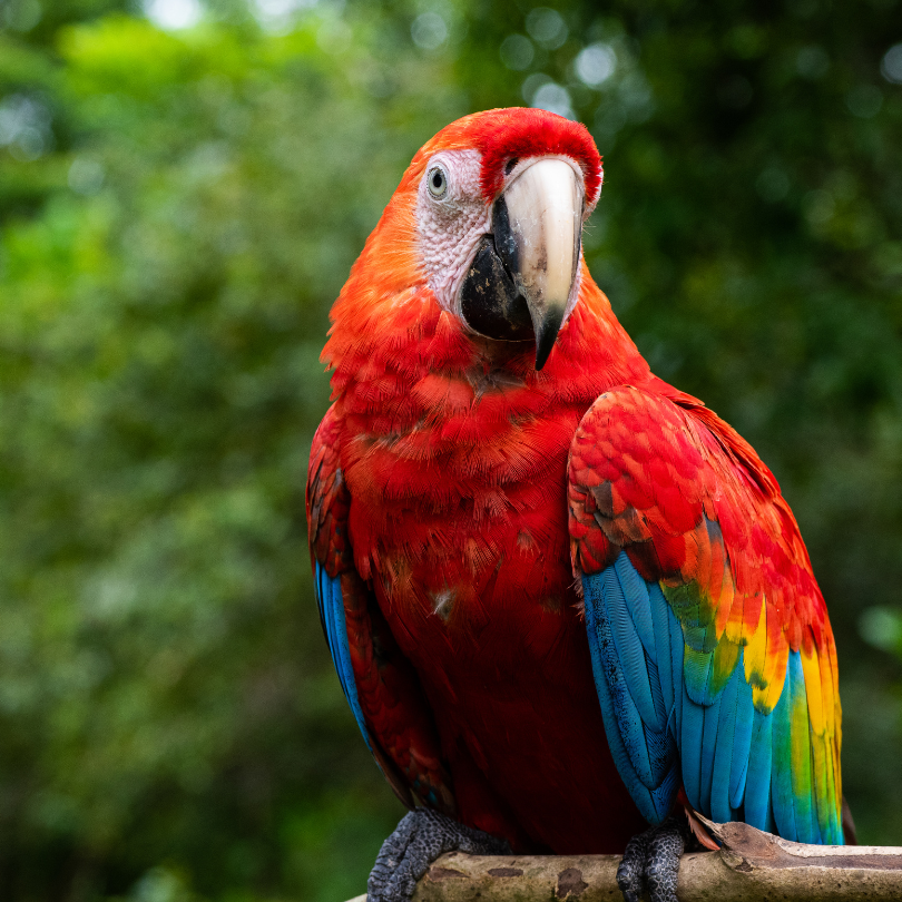 sistema de parques nacionales, parques naturales de colombia