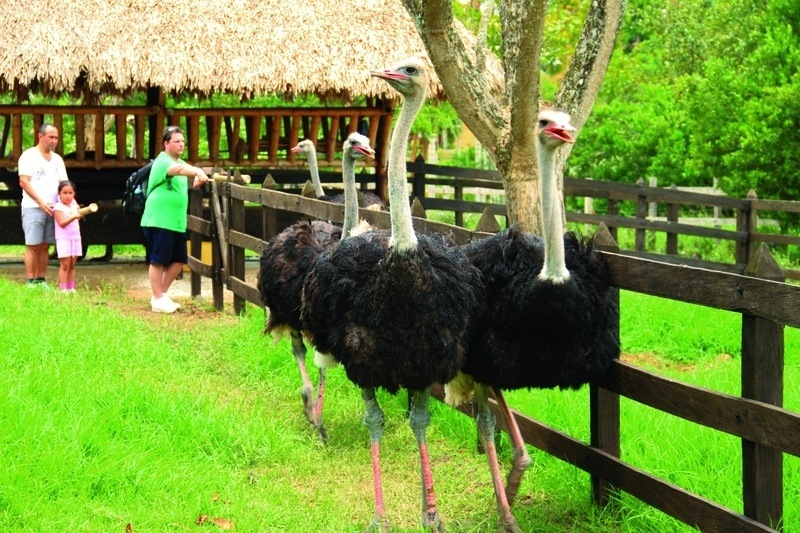sitios turísticos quindio