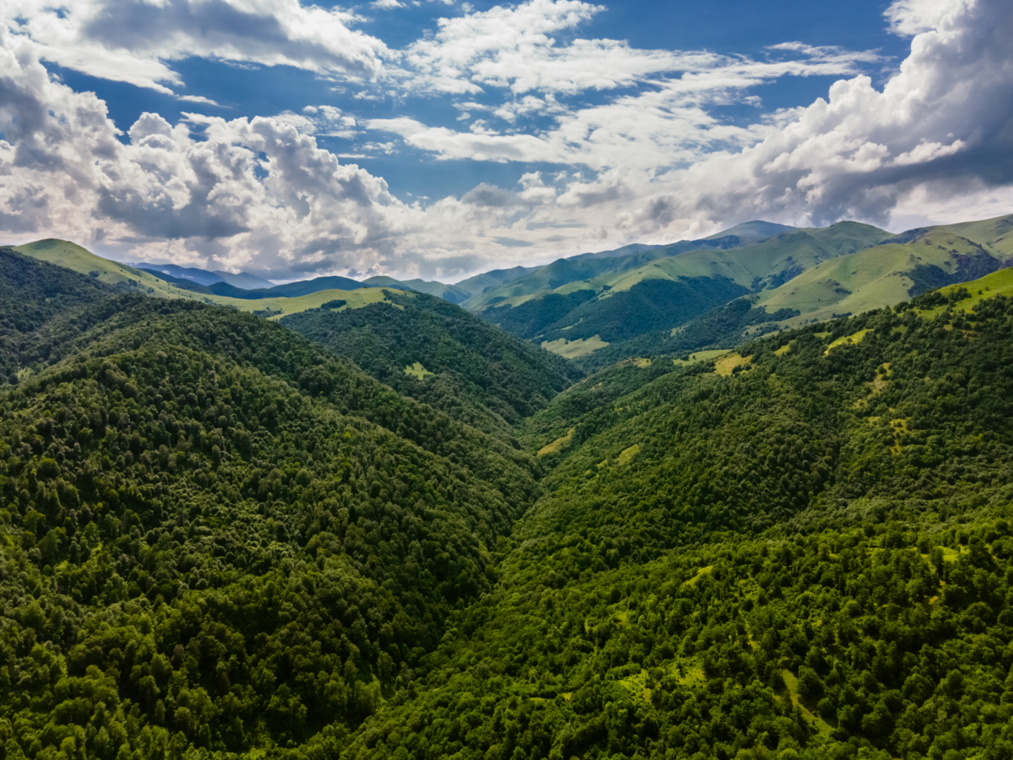 Paisaje Armenia Quindío