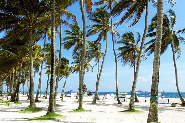 Ver en Colombia, San Andrés