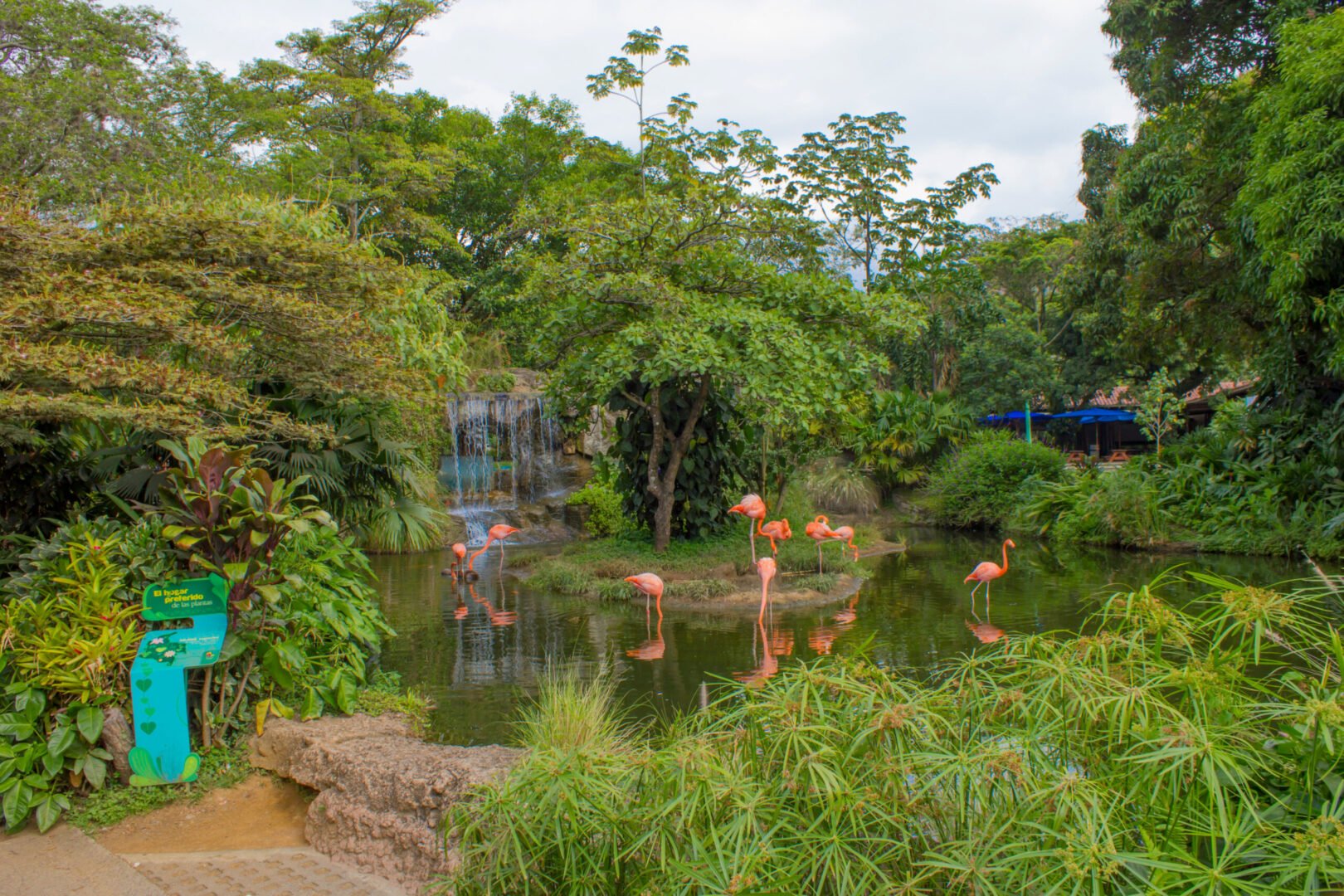 Santiago de Cali, Ciudad Cali Colombia 