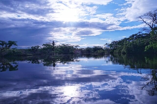amazonia, ecuador, sunset
