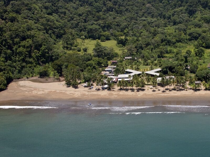 flora y fauna, región pacífica de colombia