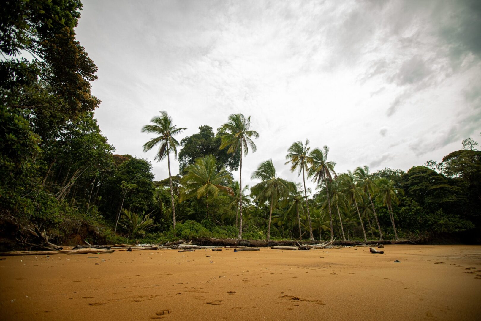región pacífica de colombia, fiestas, costa