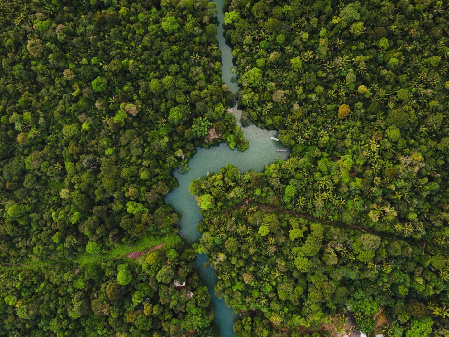 Biodiversidad de Colombia, segundo país