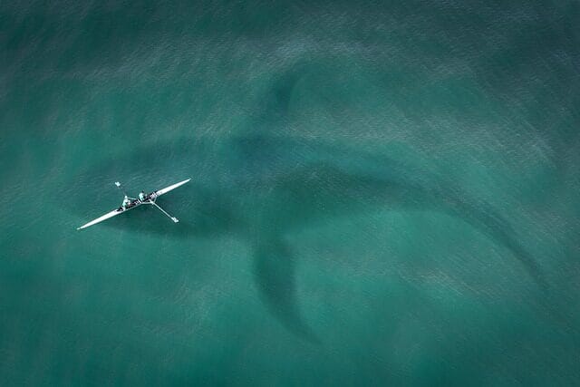 boat, from above, top view
