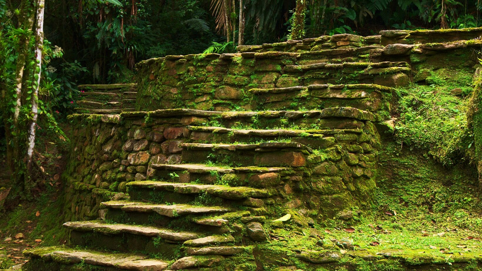 tour trekking en la ciudad perdida, piedra