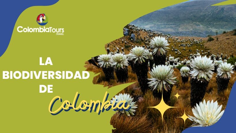 Experto en viajes compartiendo su experiencia en Colombia
