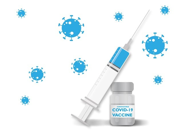 syringe, vaccine, injection, vacuna, enfermedad, dosis, virus, recibir la vacuna