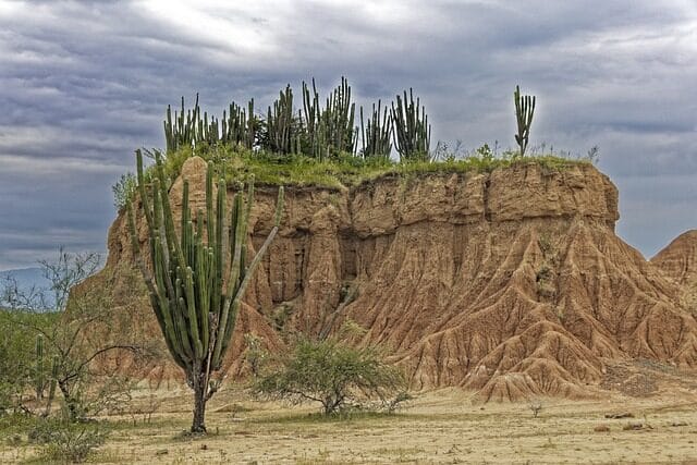 colombia, tatacoa desert, desert