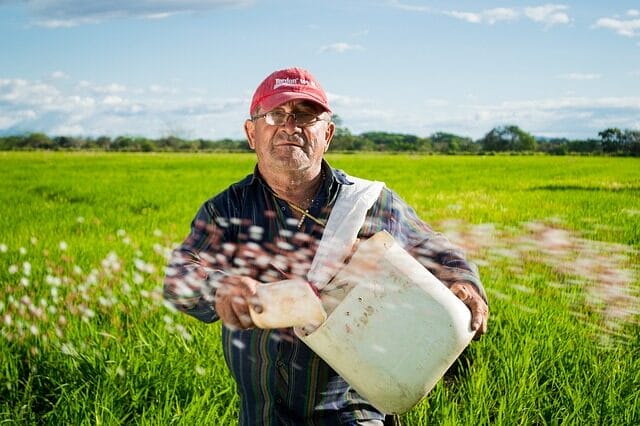 man, farmer, rice fields, paquete, vuelos, ecuador