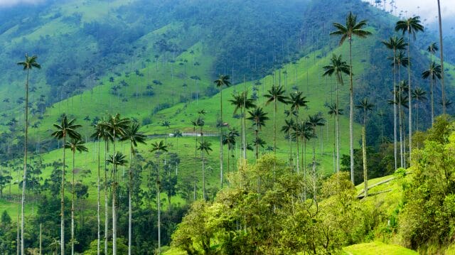 uno de los mejores lugares para visitar en Colombia - su riqueza cultural