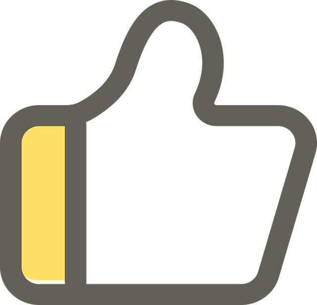 icon, like icon, like button, pasaporte vigente, países, ciudad, identificación, acuerdo