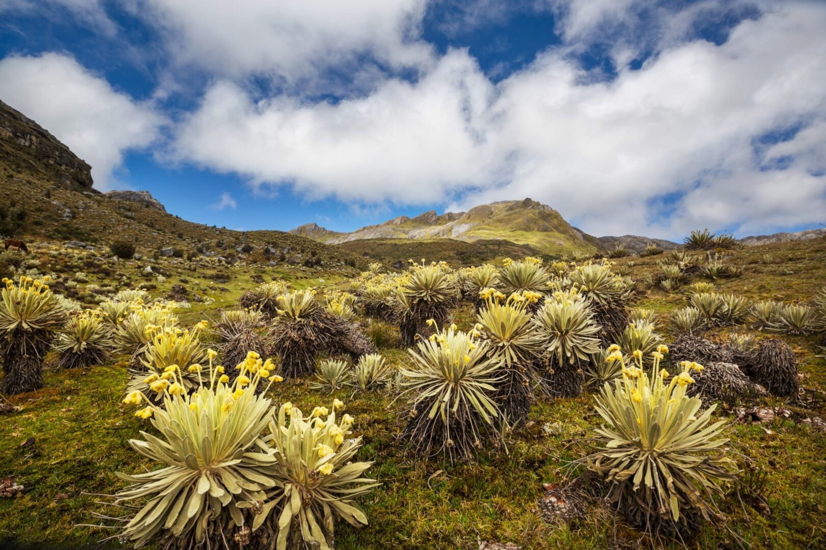 datos curiosos de colombia - nevado del ruiz