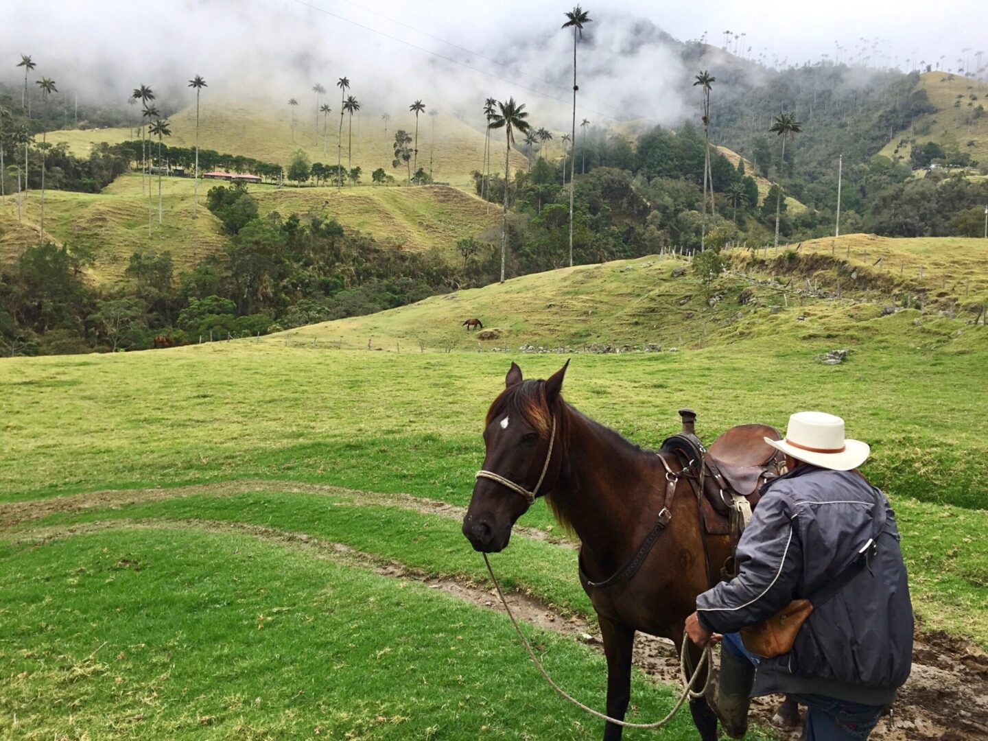 Turismo Colombiano