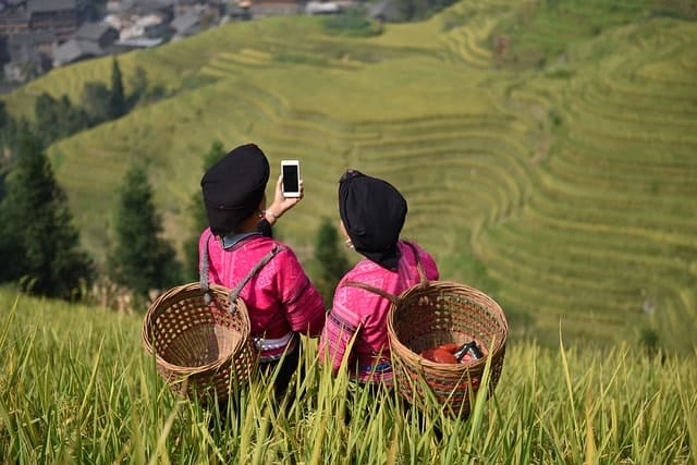 women, china, yao minority, minority women, guilin, longji, longji rice terraces, rice, autumn, use phone, village, nature, countryside, china, china, china, china, china
