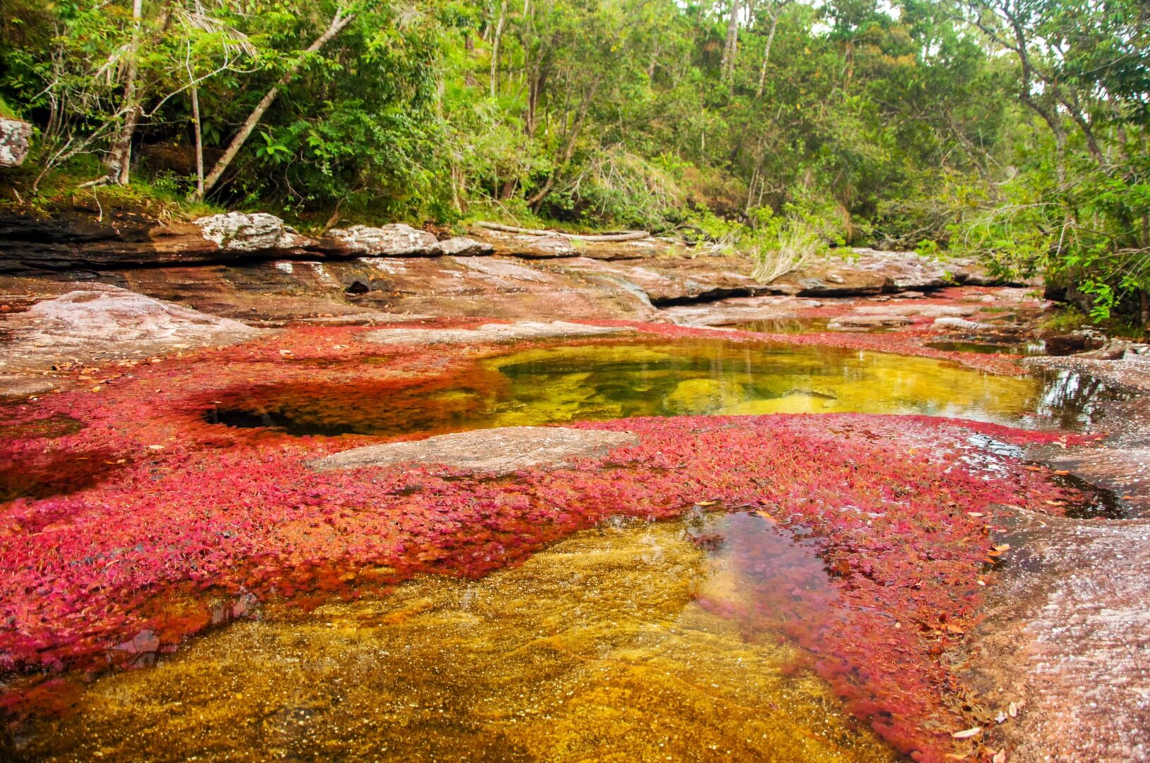 caño cristales - río guayabero - arco iris - caño cristales