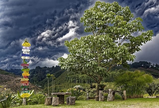 colombia, salento, quindio, nature, landscape, tree, signpost, heaven, clouds, colombia, colombia, colombia, colombia, colombia