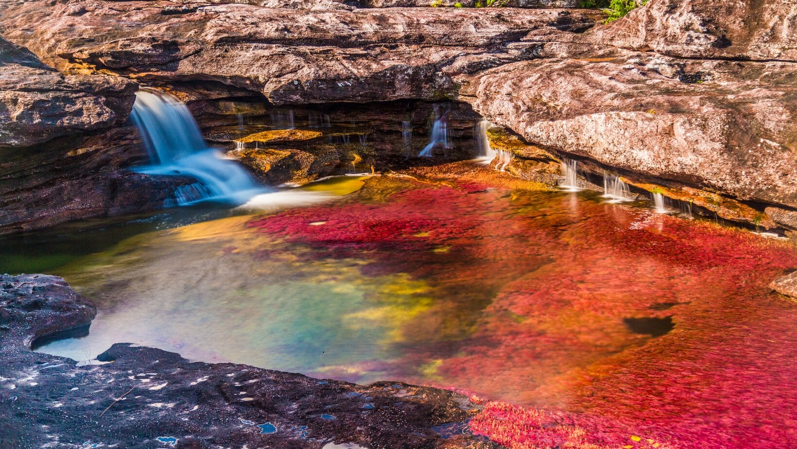 caño cristales - caño cristales