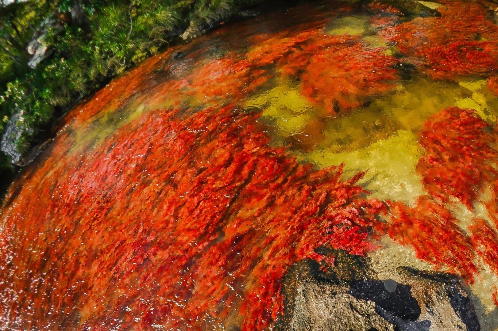 caño cristales