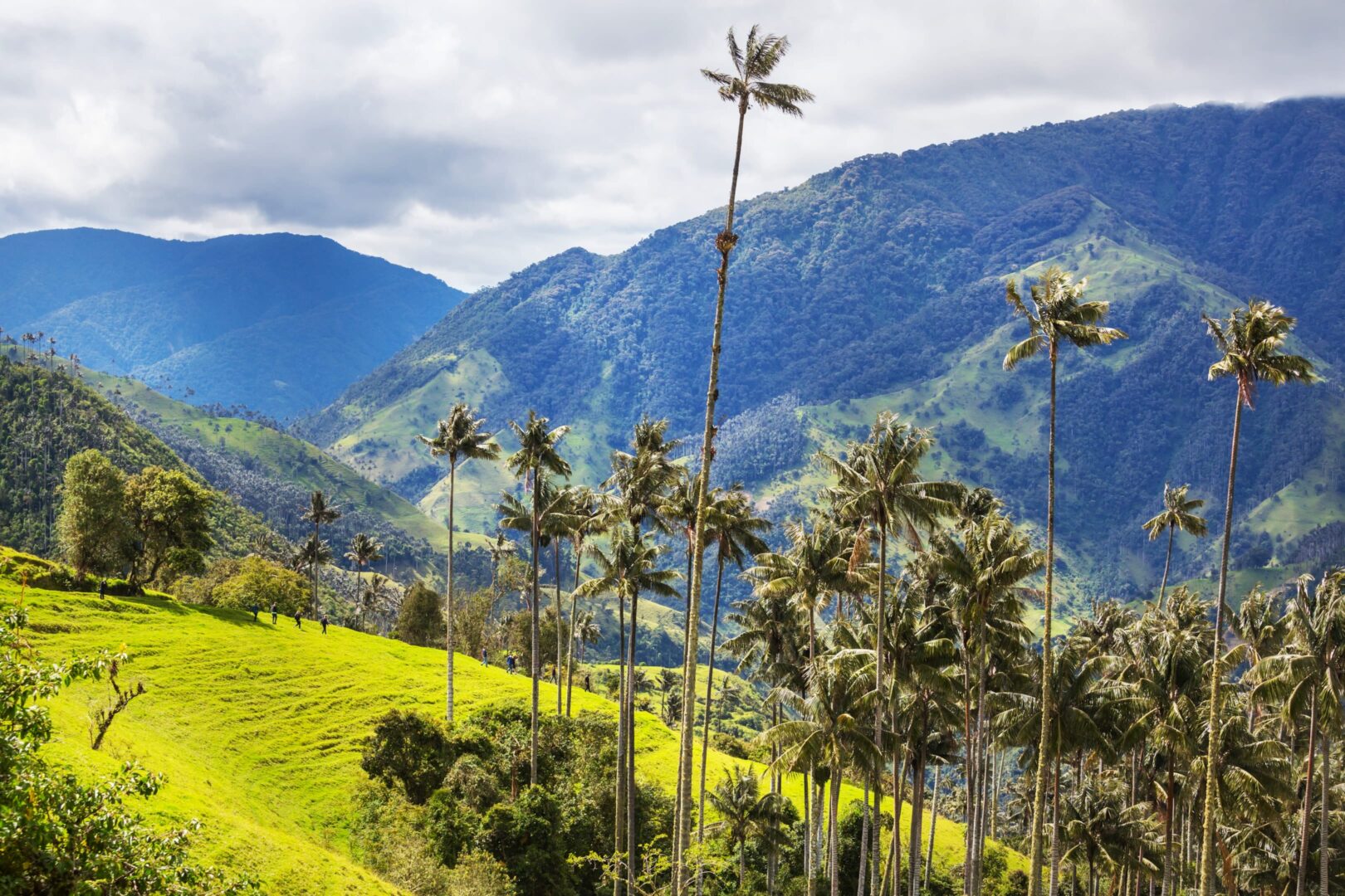viaje a colombia desde mexico - cuanto sale un viaje a colombia desde mexico