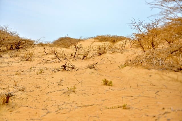 desert, house, home, landscape, nature, sky, sand, natural, darling, relax, guajira, colombia