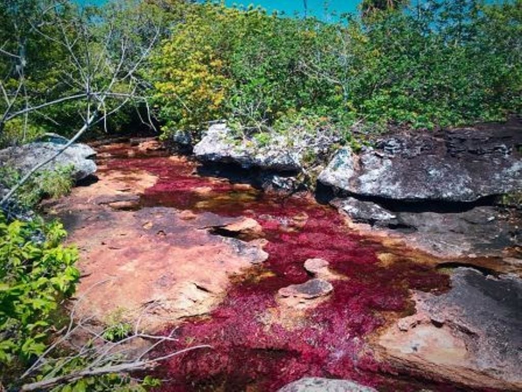 caño cristales