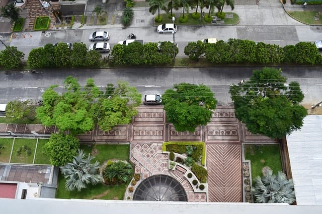 street, tree, sheets, avenue, park, trees, path, branches, green, empedrado, grove, pereira