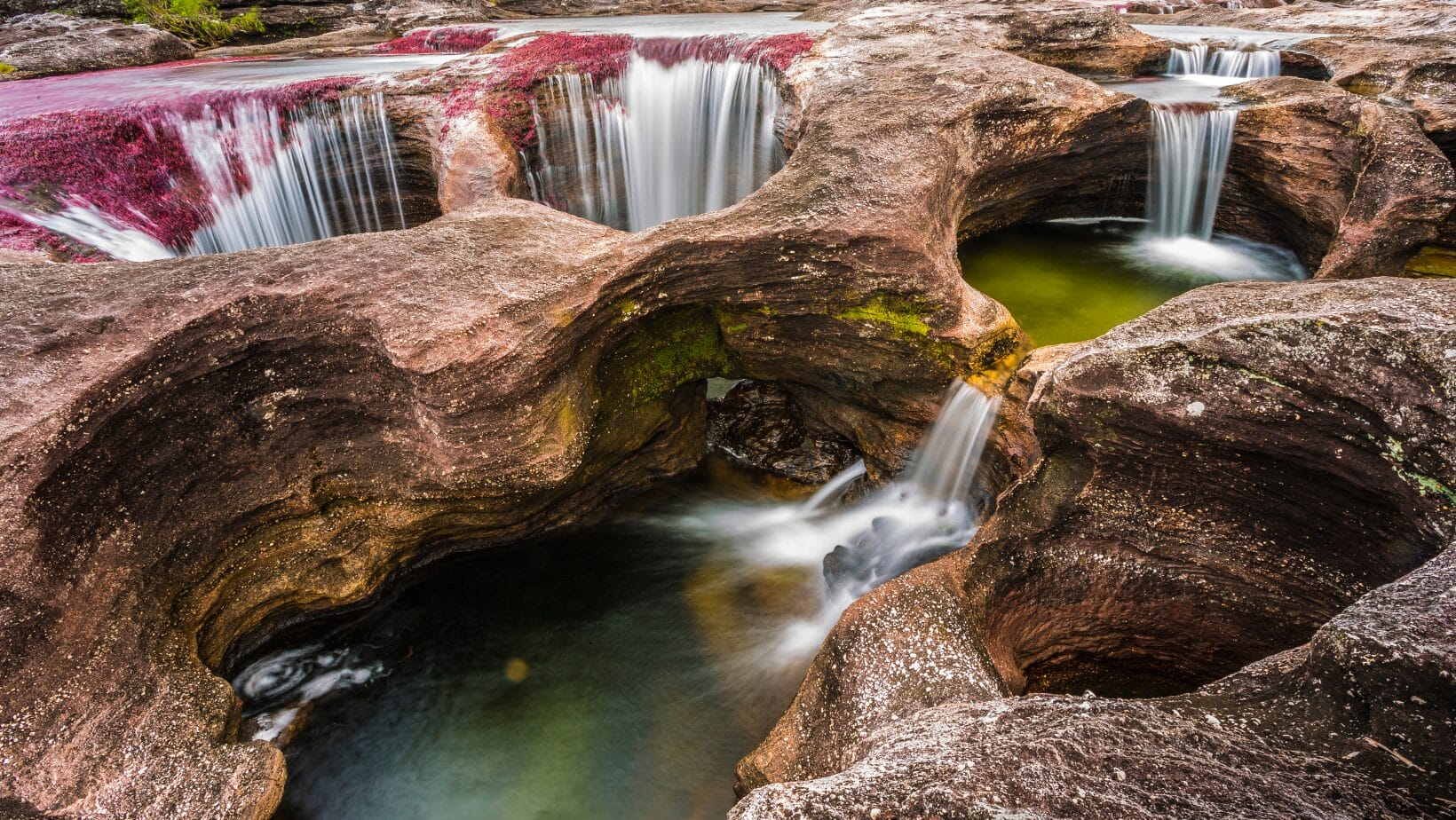 caño cristales - parque nacional natural sierra