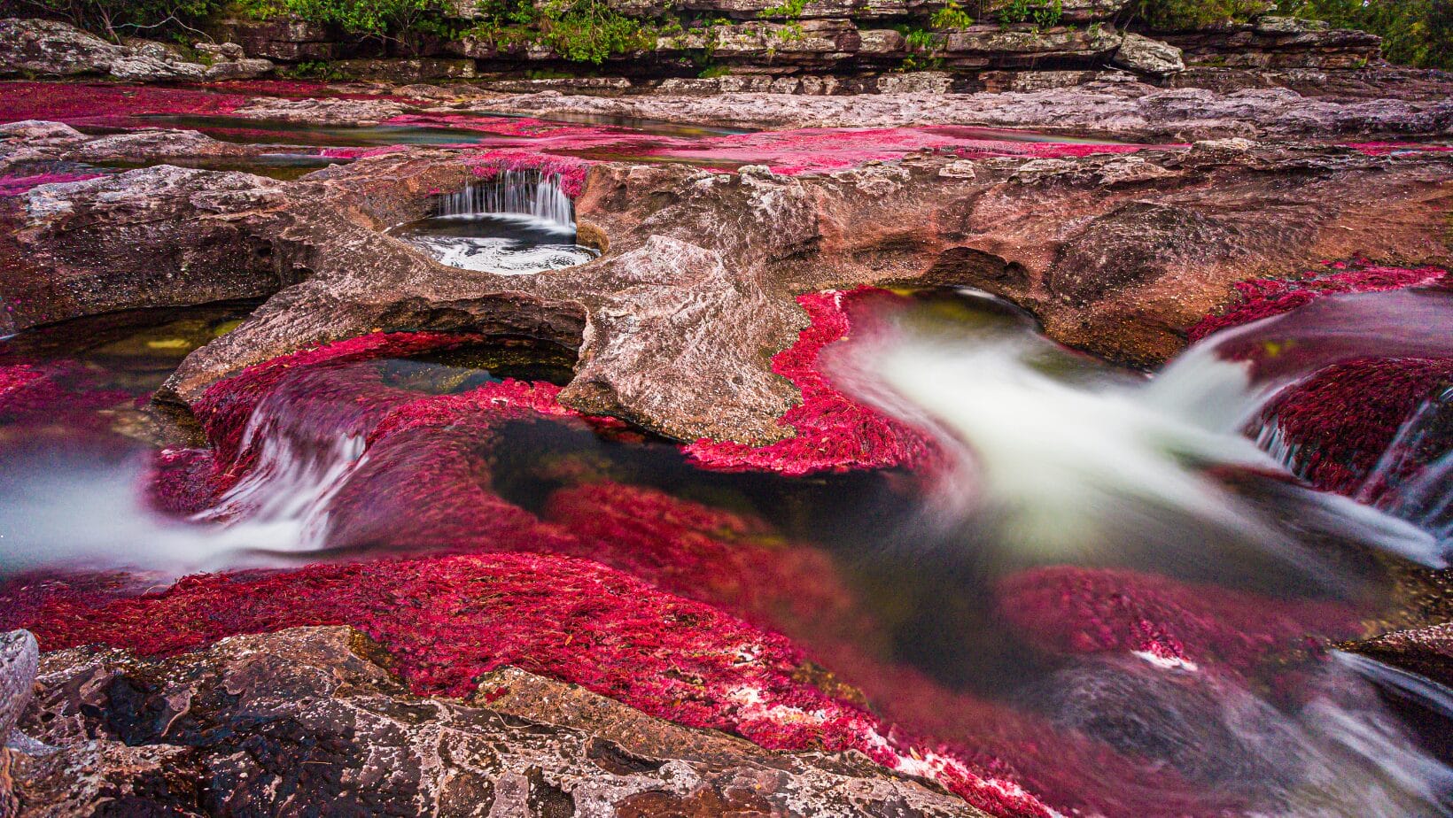 caño cristales - caño cristales